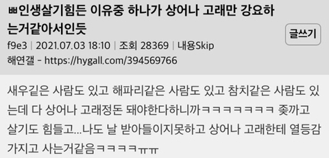 인생 살기 힘든 이유 중 하나가 상어나 고래만 강요해서인듯 | 인스티즈