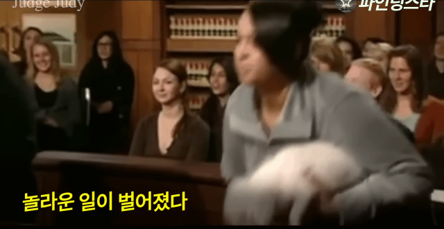 서로 자기 강아지 맞다고 싸우다가 법정까지 감.gif | 인스티즈