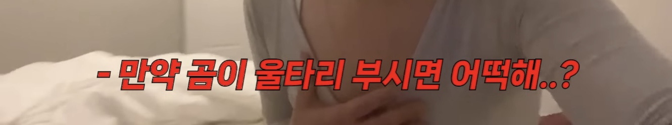 미국 이민갔는데 집에서 곰 나옴… | 인스티즈