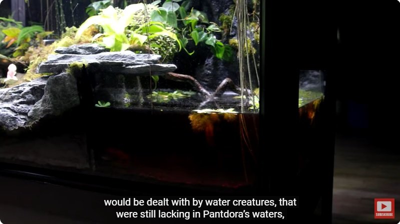 거대한 수조에 열대우림 환경을 조성해놓으면 생기는 일 - 4 | 인스티즈