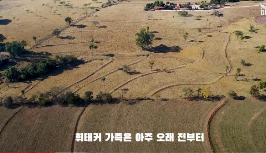 대대로 근친 결혼한 미국가족 | 인스티즈