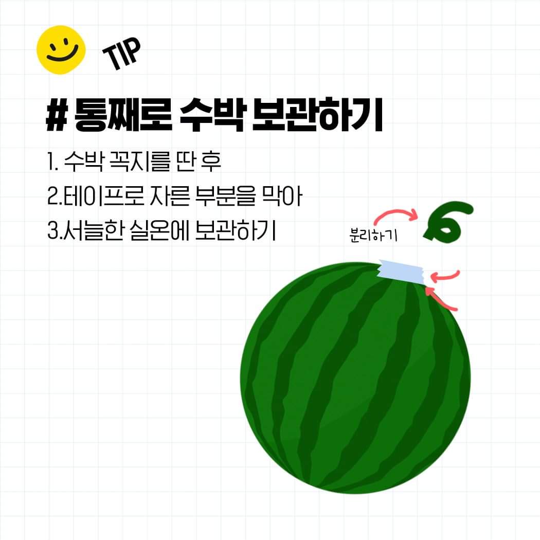꿀수박 찾는 방법부터 보관 방법까지 알려드림 🍉 | 인스티즈