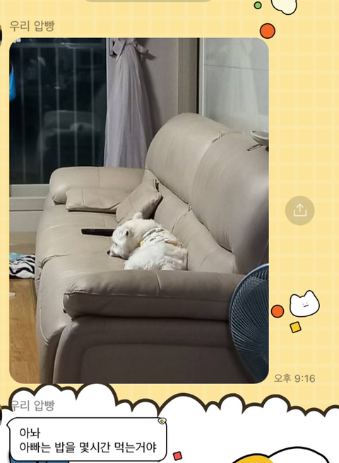 [강아지] 아빠가 보내주는 강아지 사진이 좋은 이유 | 인스티즈