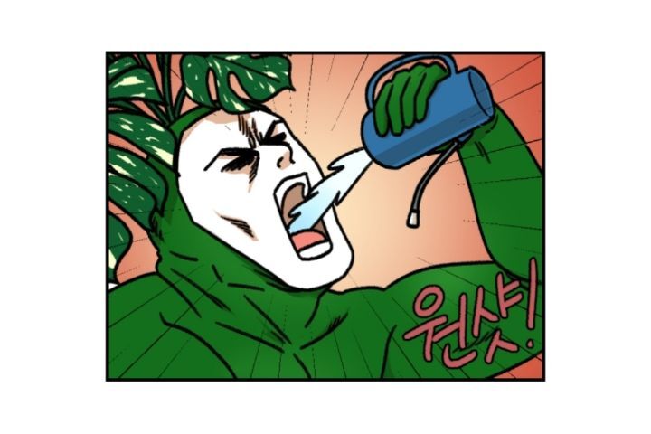 다육이 키우는 초보자들이 제일 많이 하는 실수 | 인스티즈