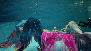 프리다이빙 배우고 넘어간다는 취미 머메이드 다이빙 | 인스티즈