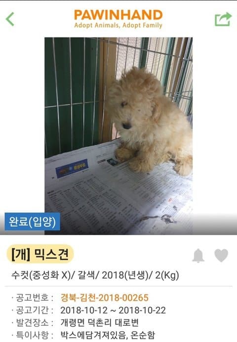 유기견 입양 전후 | 인스티즈