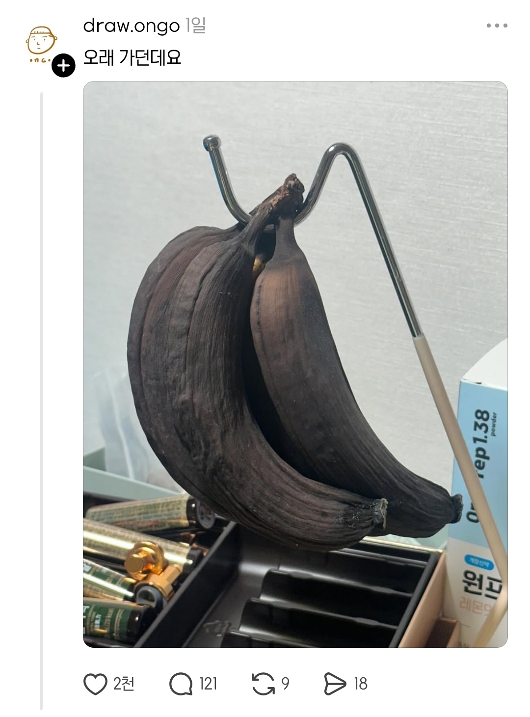 바나나 걸어 놓으면 오래 간다면서요... | 인스티즈