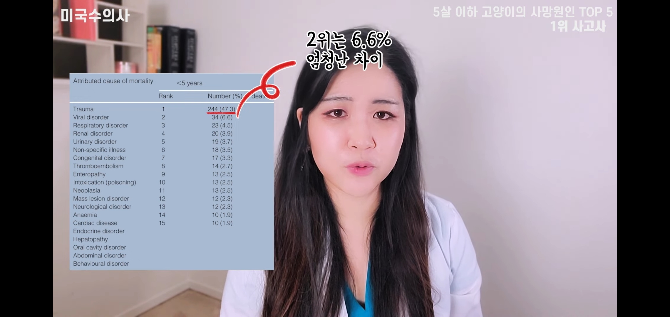 고양이 산책? 하지마!!!!! | 인스티즈