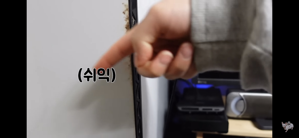 털이 없는 스핑크스는 키우기 편할까? (위생주의) | 인스티즈