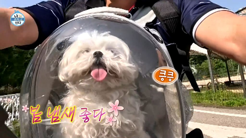 나혼산 취지에 정말 딱이었던 구성환의 하루 | 인스티즈