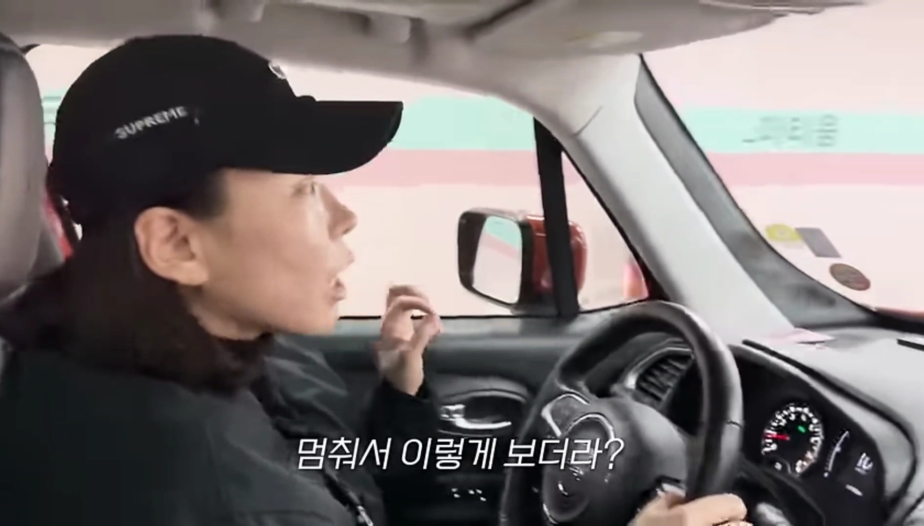 드디어 강아지 입양한 가비.youtube | 인스티즈