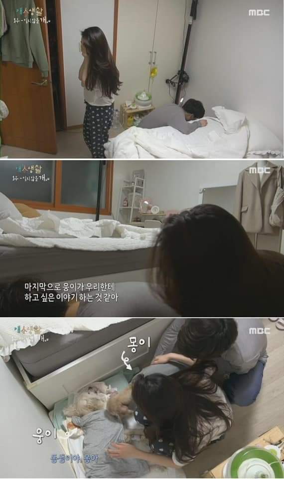 무지개 다리를 건넌다는 것 | 인스티즈