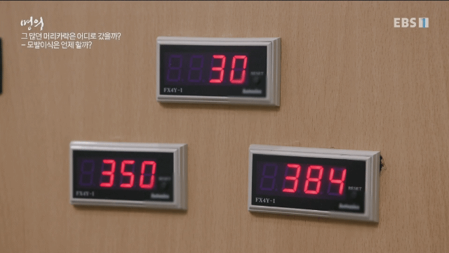 (주의) 실제 모발이식 장면.gif | 인스티즈