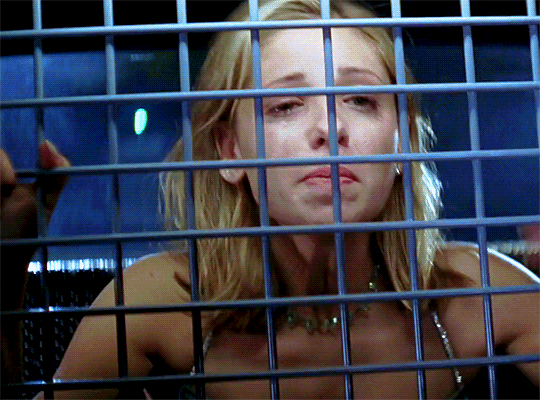 친구들이랑 음주운전으로 뺑소니 사고내서 그냥 시체 바다에 유기하고 잊고 살았는데 | 인스티즈