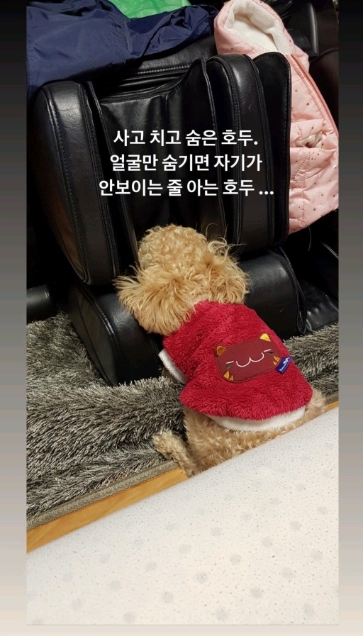 유기견 입양에 대한 윤지성 인스타스토리 | 인스티즈