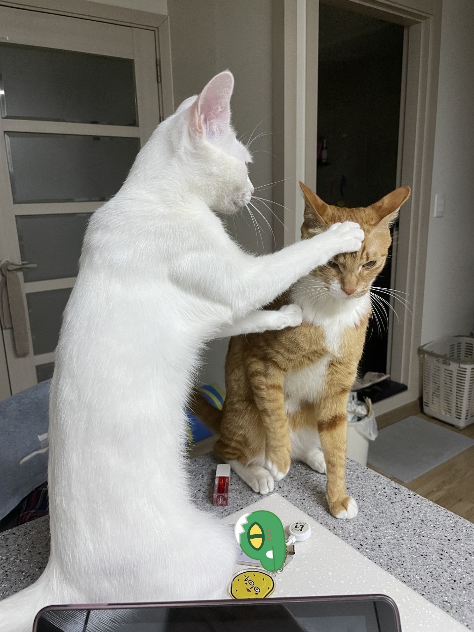 가... | 인스티즈