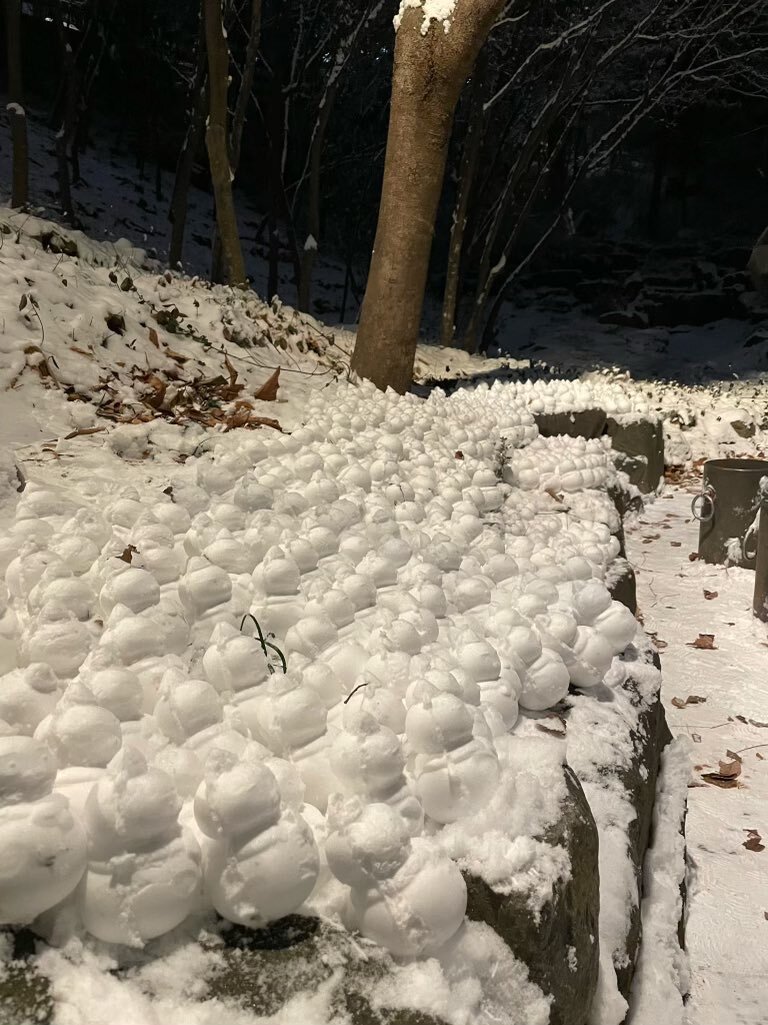 어제자 눈사람 만들기에 진심인 아이돌.twt | 인스티즈