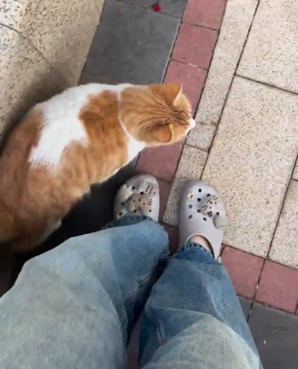 내 인생의 곤란함은 이런 것만 있었으면 좋겠다 | 인스티즈