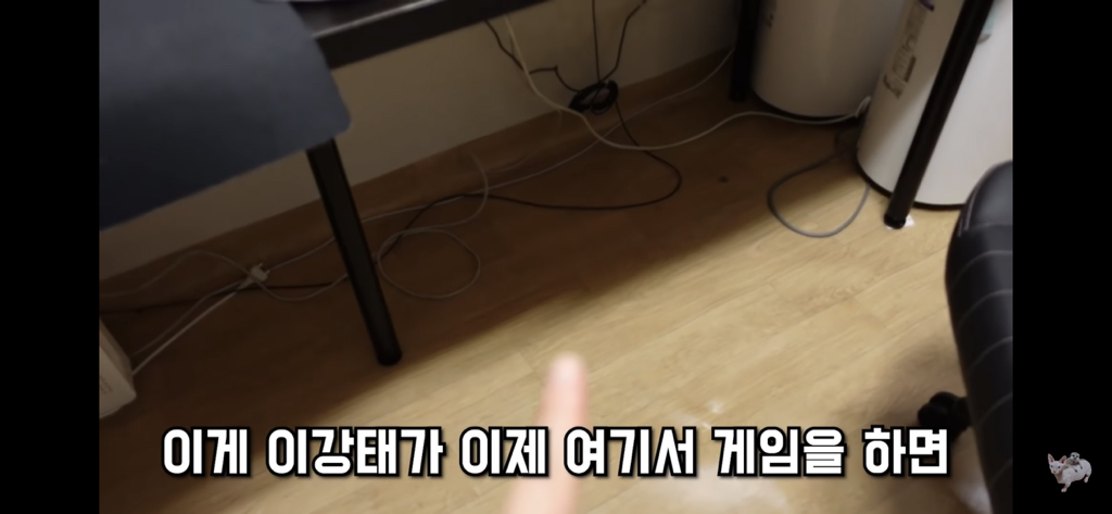 털이 없는 스핑크스는 키우기 편할까? (위생주의) | 인스티즈