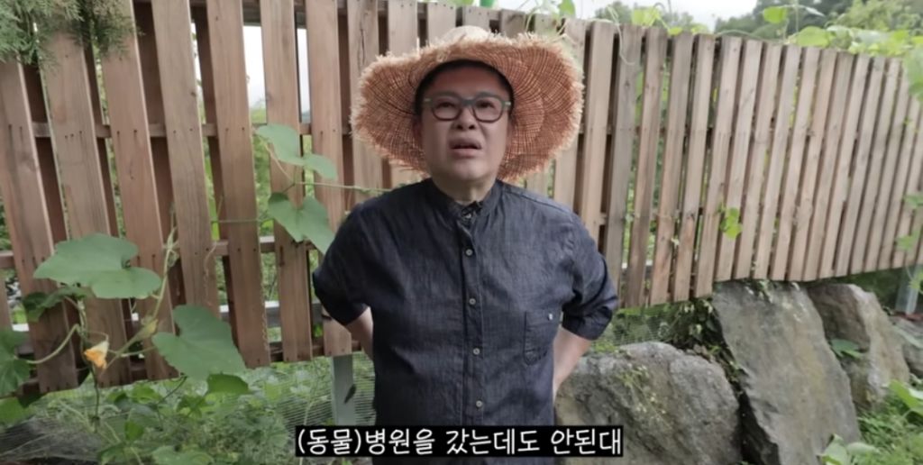 신발 물어 뜯은 고양이 찾아간 이영자 | 인스티즈