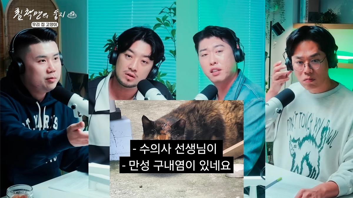 유기묘 보호소에 간식+사료 기부한 나폴리 맛피아 | 인스티즈