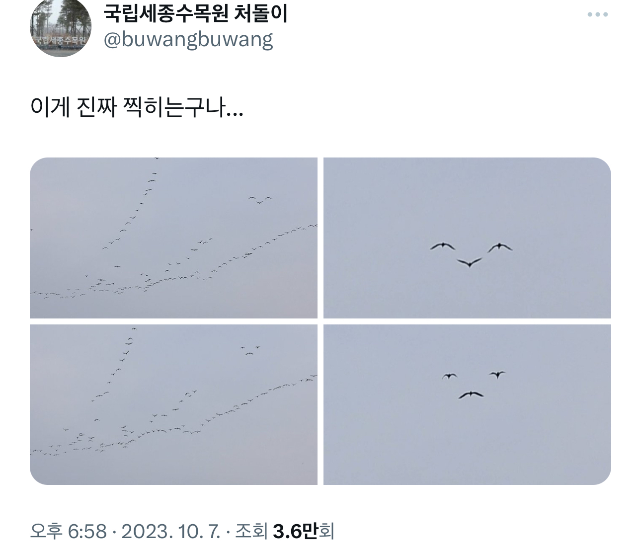이게 진짜 찍히는구나 | 인스티즈