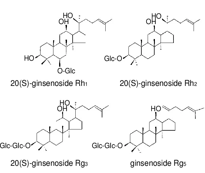 고려인삼과 미국삼의 차이를 알아보자 | 인스티즈