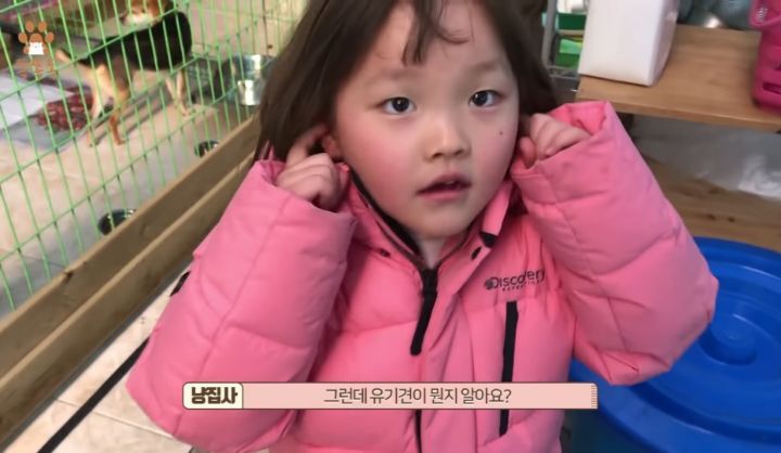 7살 아이 눈에 비친 유기견 보호소는? | 인스티즈