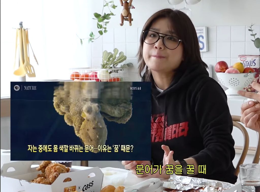 알고보면 직장인들의 심경을 담은 슬픈 노래였던 안예은의 문어의 꿈 | 인스티즈