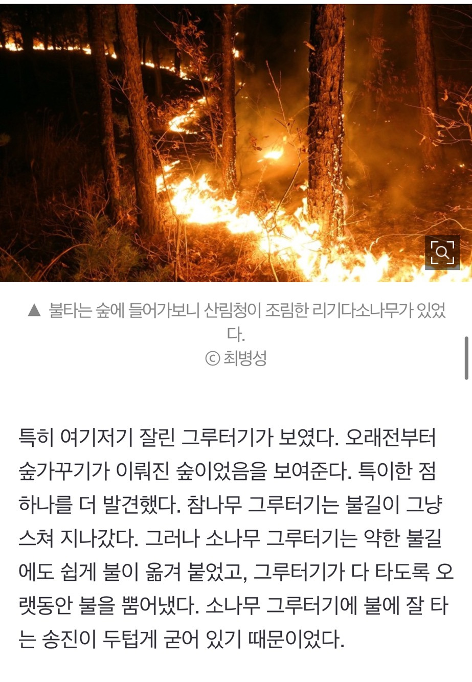 산불 발화지점 가보고 깜짝 놀랐다, 대형산불의 진짜 원인 [최병성 리포트] | 인스티즈