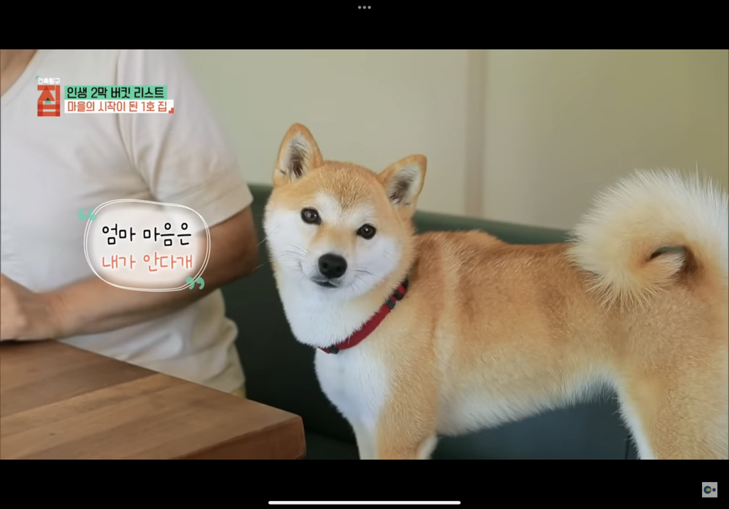 제주도에 마을 만들어 모여 사는 여섯 친구들의 삶 | 인스티즈