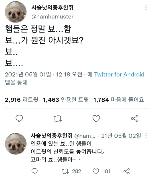 햄들은 정말 뵤...함 | 인스티즈