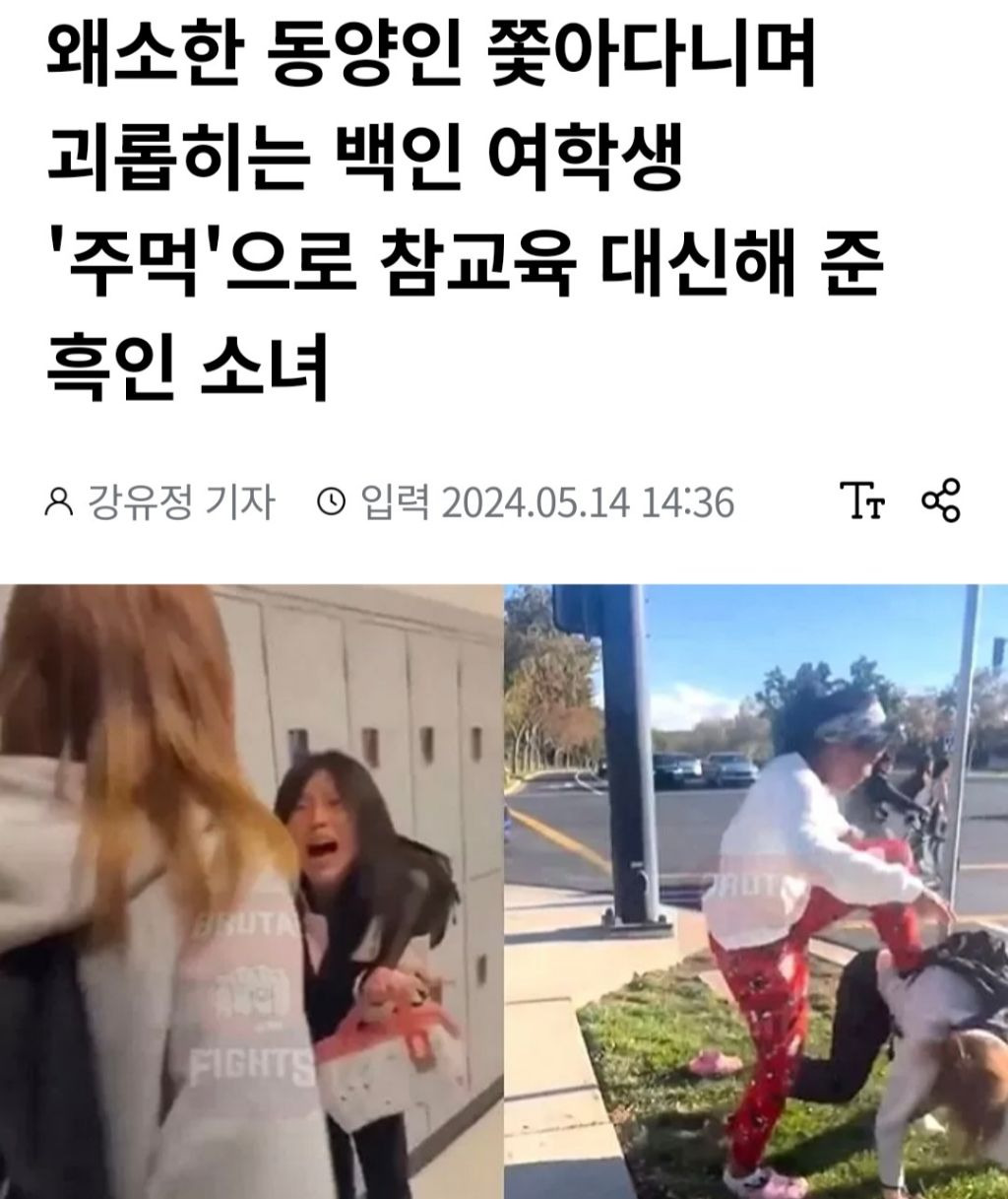 왜소한 동양인 쫓아다니며 괴롭히는 백인 여학생 '주먹'으로 참교육 대신해 준 흑인소녀 | 인스티즈