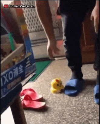 인내심 테스트용 장난감.gif | 인스티즈