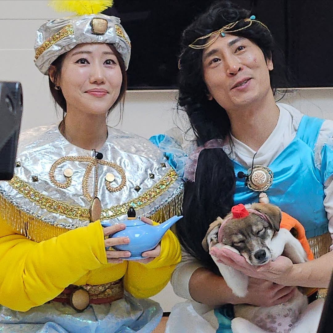 동물농장 똥개보필프로젝트에 참여중인 연예인과 임보 강아지들 | 인스티즈
