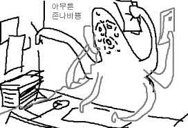 1년 안에 국보만 두 개 찾은 석사 | 인스티즈