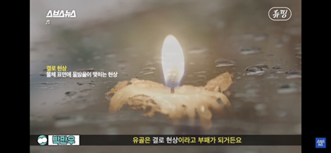 유골로 보석 만드는 메모리스톤 어떻게 생각하는지 말해보는 달글 | 인스티즈