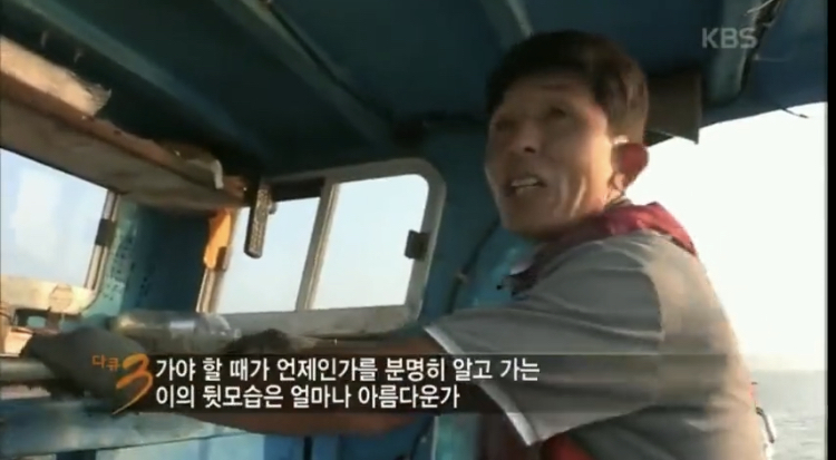 나를 뺀 모두는 어디로 가야 할 지 아는 것 처럼 걷고.twt | 인스티즈