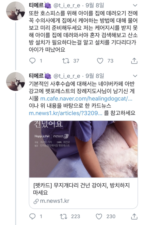 우리는 정말 공정한 세상에서 사[스크랩] 반려동물의 장례를 준비하며 참고할 것들는가? (능력주의의 문제점, 당신이 생각하는 모든게 바뀔 수 있는 글) | 인스티즈