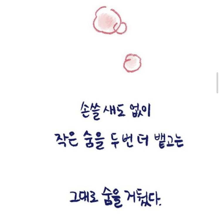 반려동물을 떠나보낸다는 것 | 인스티즈