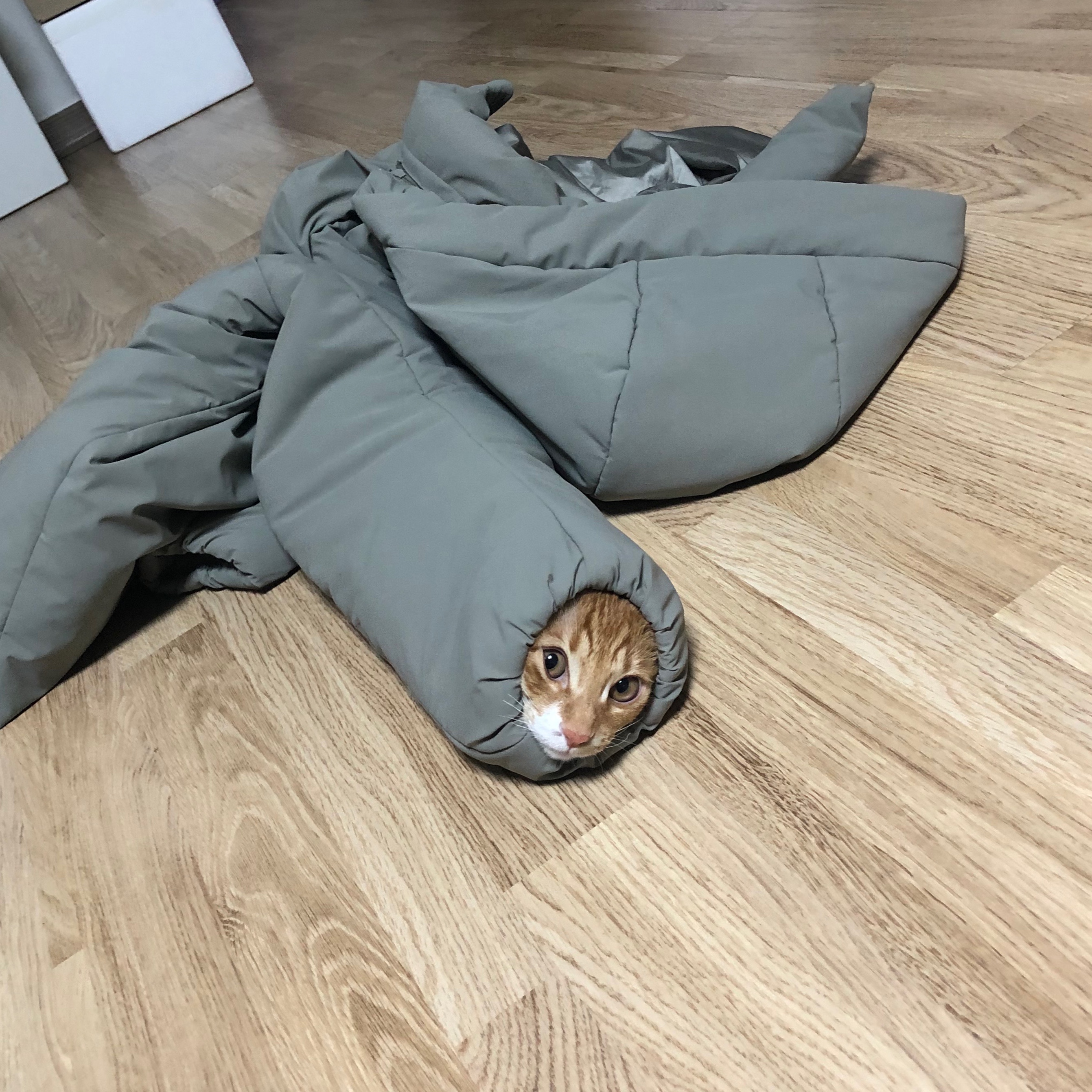 가... | 인스티즈