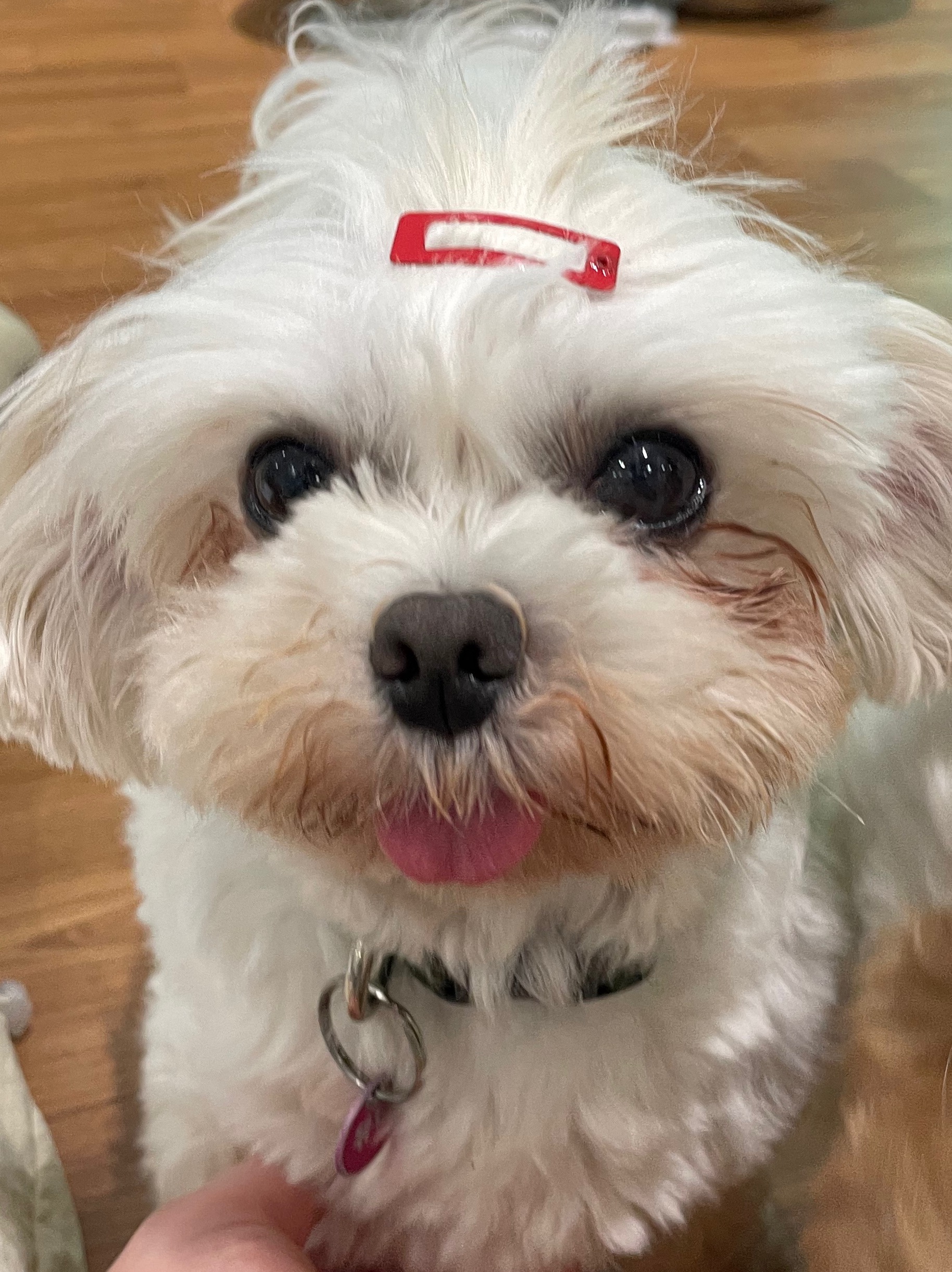 봉사 갈수록 애기들 아는척 하는 거 너무 귀여워.. | 인스티즈