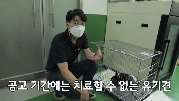 교통사고난 유기견 입양한 설채현 수의사 그리고 윙크 근황😉 | 인스티즈