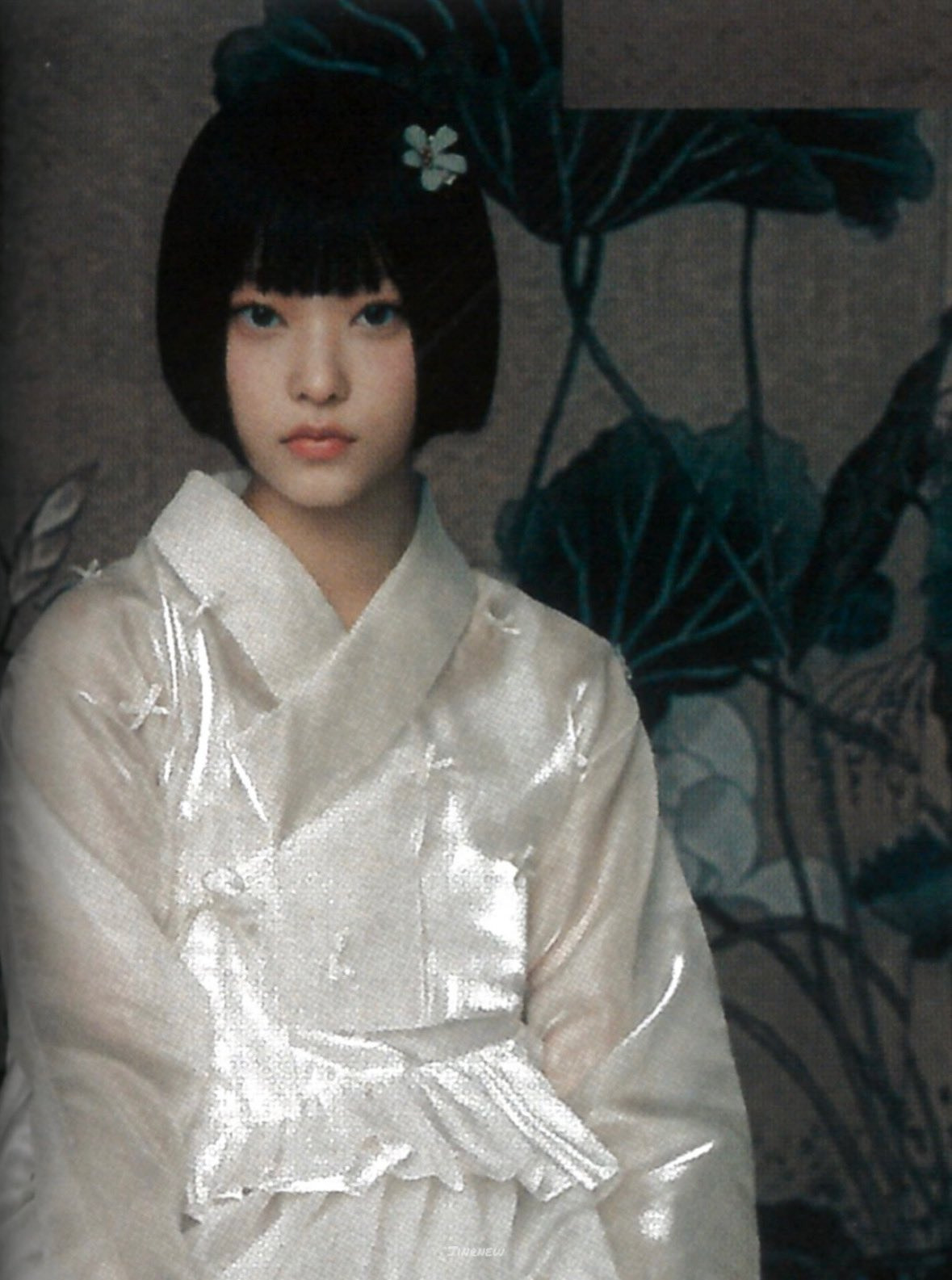 보그 이미지