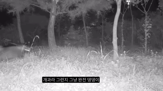 194885b1d1339edb57c107840d84425e6622f84a