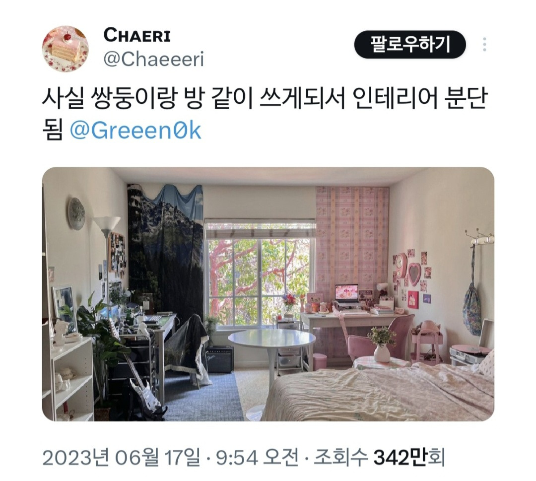 어릴때부터 쌍둥이랑 반대로 했는데 이제 집도 반대로 꾸밈.twt | 인스티즈
