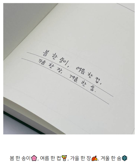 아이유에게 사계절을 간결하게 표현해달라고 부탁했다.jpg | 인스티즈