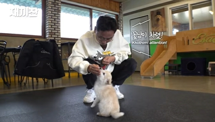 개농장에서 구출됐던 강아지 꽃님이의 버르장머리 없어진 최근 모습 | 인스티즈