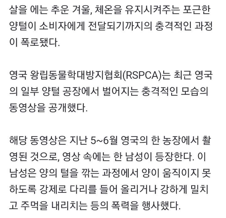 일부 사람들이 어그부츠 안 신는 이유 | 인스티즈