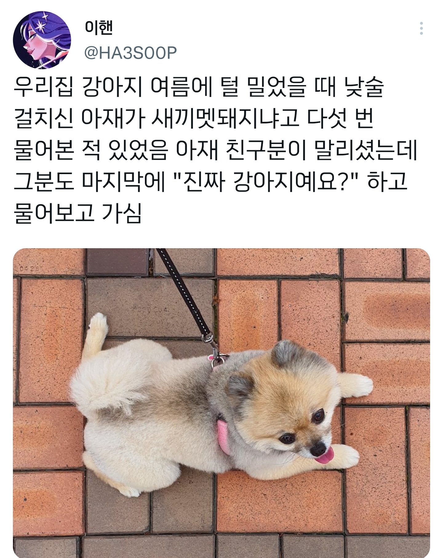 순수하게 동물을 좋아하지만 잘 모르는 사람들.twt | 인스티즈